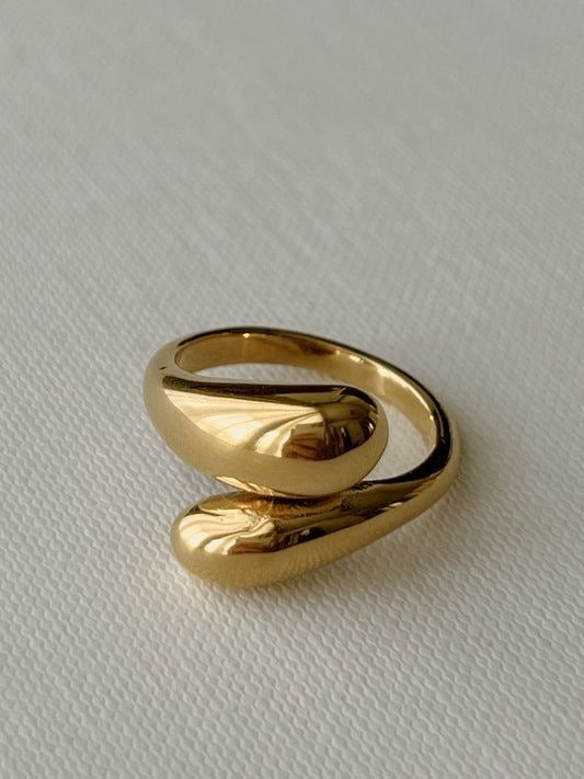 Anillo Doble